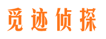 伍家岗市私家侦探